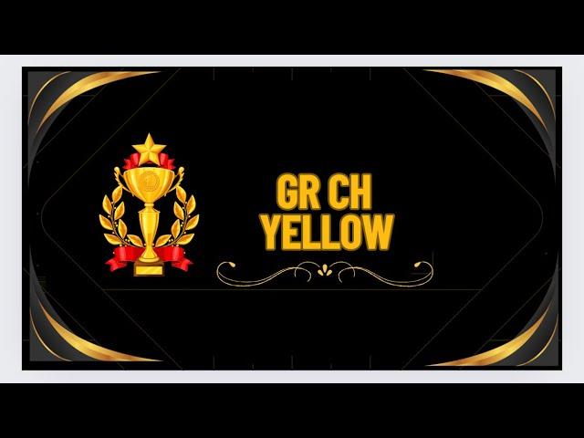 Gr Ch Yellow