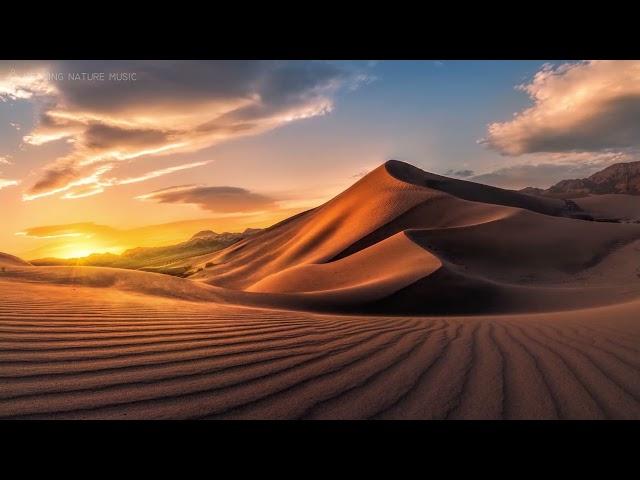 Arabic Music | Oriental Deep Mix2023