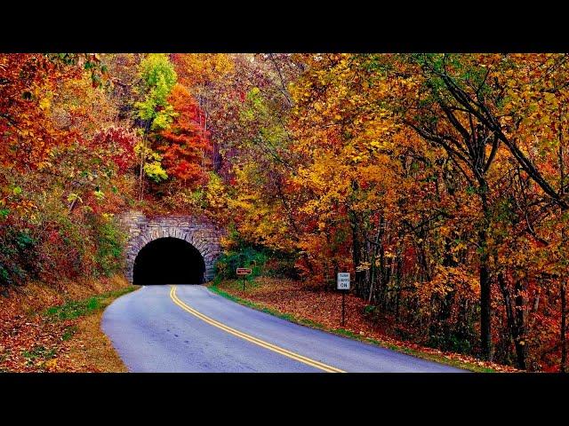 Blue Ridge Parkway Fall Color Asheville & NC Mountains