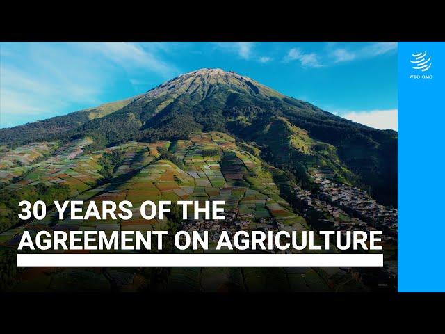 30 years of the Agreement on Agriculture