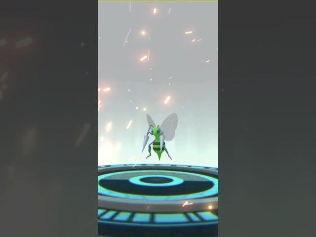 100IV SHUNDO MEGA BEEDRILL !!!! 