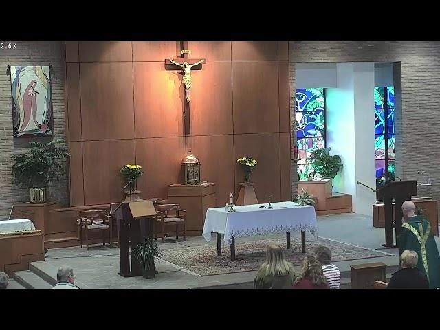 SMM Metairie - Seventh Sunday in Ordinary Time