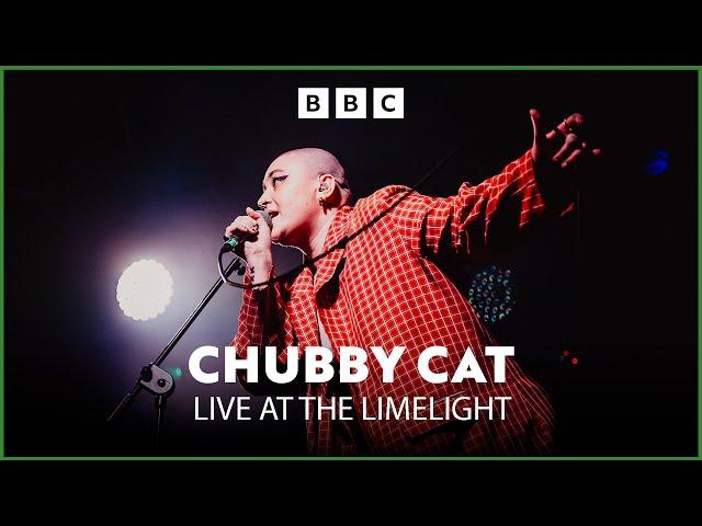 Chubby Cat | OH HONEY! | Live At The Limelight