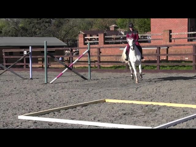 Teach your horse flying changes with Yazmin Pinchen | Horse&Rider