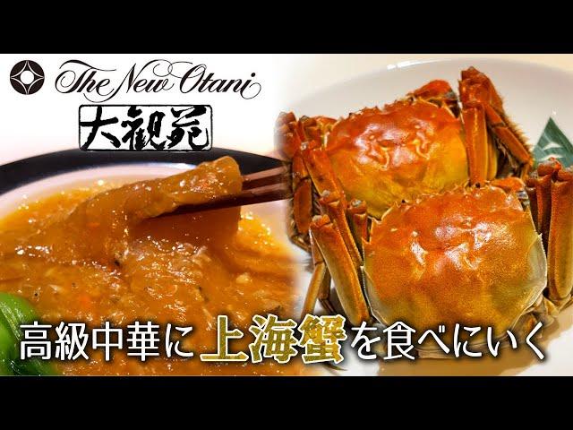 タラバや松葉よりも高い？！謎の高級ガニ 上海蟹を食べにホテルの高級中華へ行ってみました！大観苑/ホテルニューオータニ東京