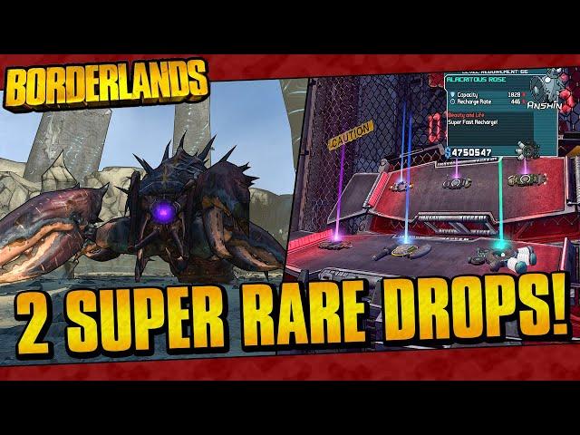 Getting 2 Super Rare Drops In Borderlands (Pearlescent And Ajax Ogre!)