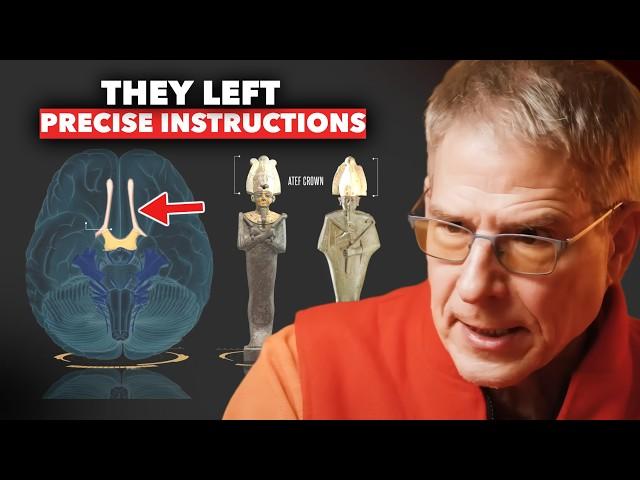 Leading Neuroscientist Shocks World by Proving Reality Emerges from a Hidden Source