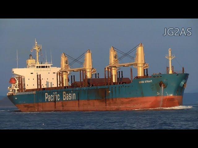 Shipspotting Japan - MV BASS STRAIT バラ積み船 Bulk carrier PACIFIC BASIN 2017NOV