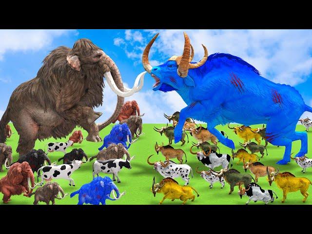 10 Mammoth Elephant vs 10 Giant Zombie bull vs 20 Giant bull Fight Cow Save By Woolly Mammoth vs Bul