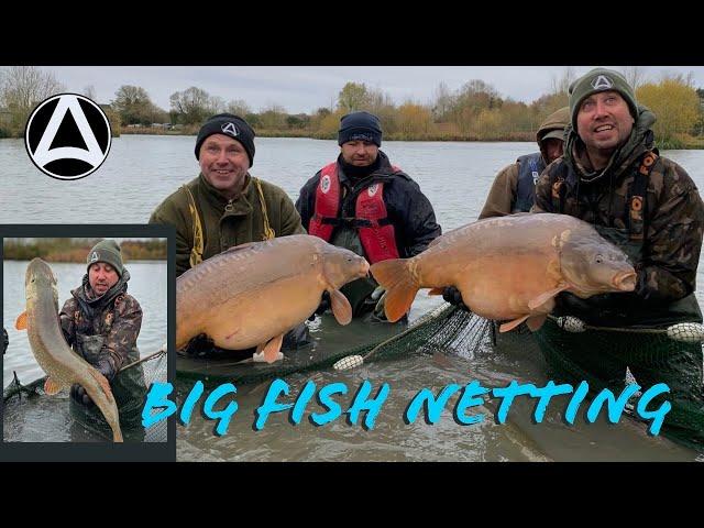 Episode15. Big Fish Lake Netting 2