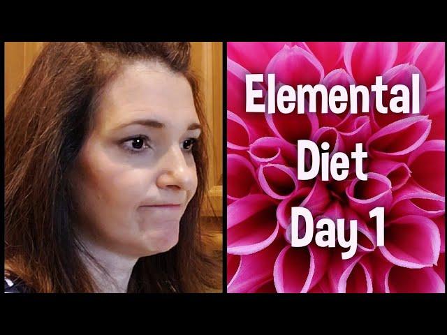 Elemental Diet SIBO Diary Day 1 | Lisa Monoson