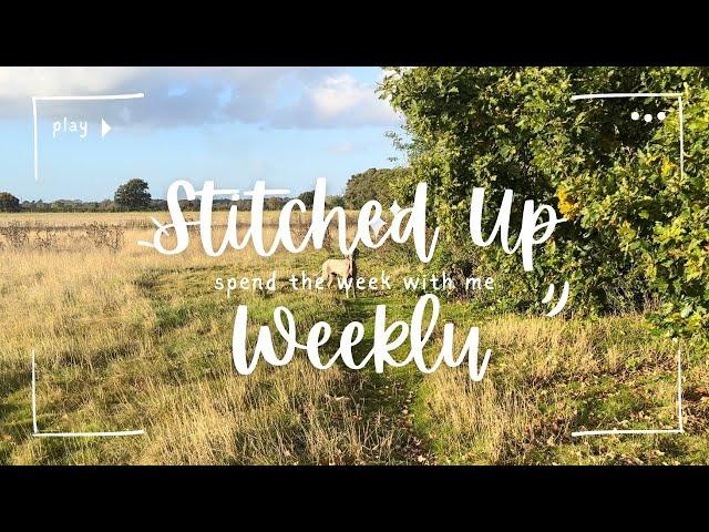 Stitched Up Weekly - Rainy play dates with some sewing!