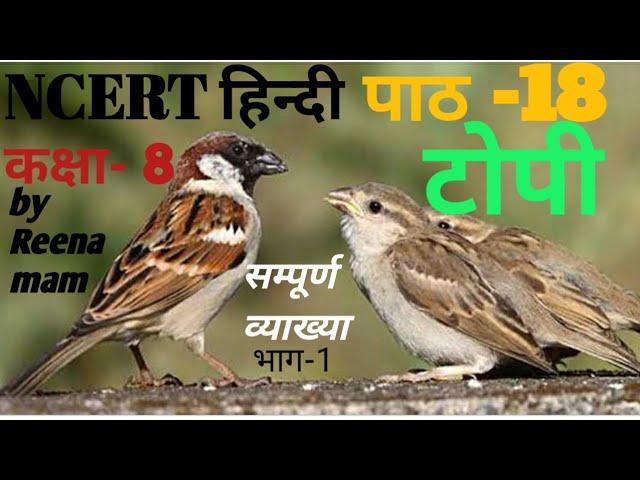 Class 8 NCERT Hindi (पाठ 18"टोपी") संपूर्ण व्याख्या-भाग 1