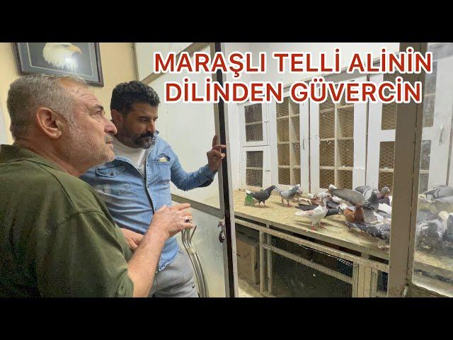 KAHRAMAN MARAŞ TA TELLİ ALİYİ BİLMEYEN YOK   İNSANLARI BİLE KUŞ DİYE ANLATIYOR. ALLAHINI SEVDİĞİM