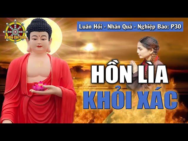 Nhà Khoa Học tìm hiểu về hiện tượng Hồn Lìa Khỏi Xác | Nhân Quả - Luân Hồi - Nghiệp Báo - phần 30