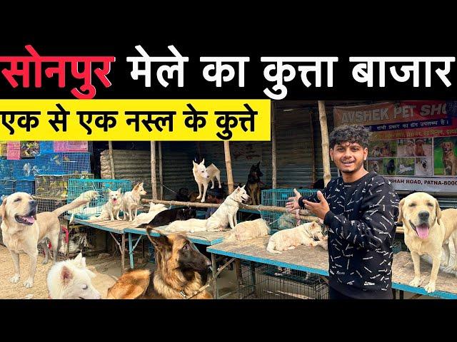 Sonpur mela dog market 2024 All dogs breed And price in details.