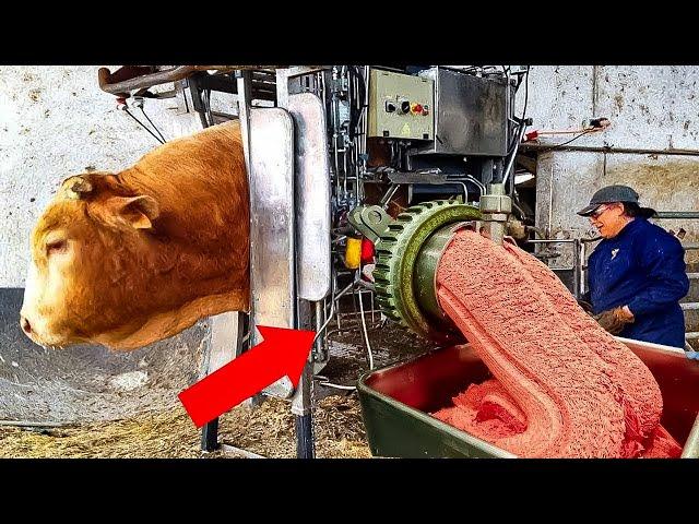 Modern Production Processes That Will Send Shivers Down Your Spine