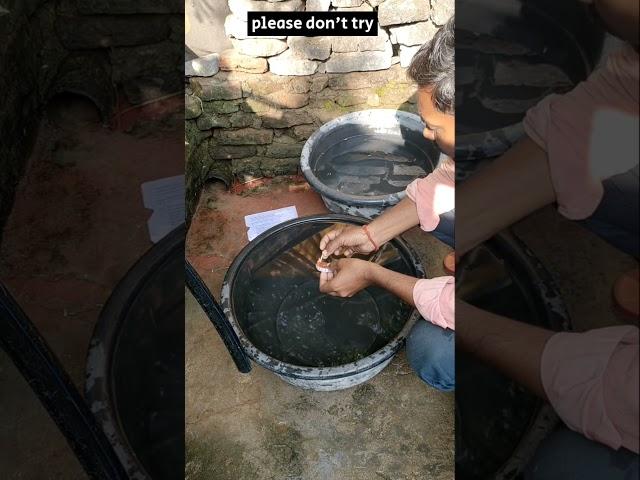 पानी में चलाई चकरी | diwali crackers experiment video #sciencefairprojectmrsciencelover