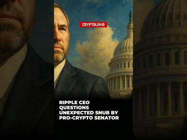 Ripple CEO Questions Unexpected Snub by Pro-Crypto Senator