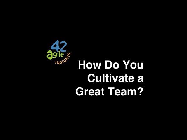 agile42 Insights: How Do You Cultivate a Great Team?