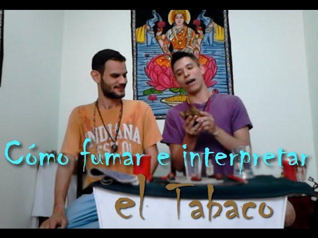 Como fumar e interpretar el tabaco