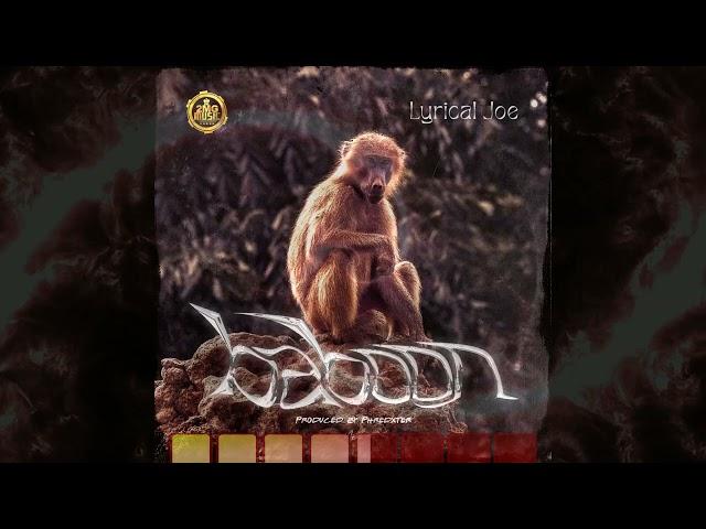 Lyrical Joe -  Baboon