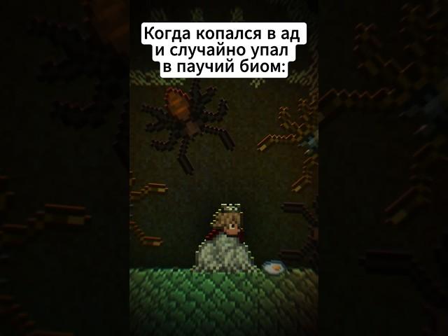 Судьба Стилиста: #terraria #террария #юмор #мемы #анимация #animation