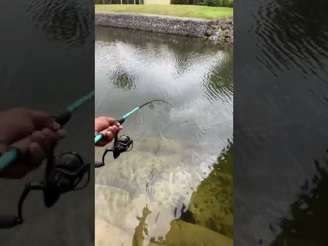 Instant Hookup Fishing Lure!