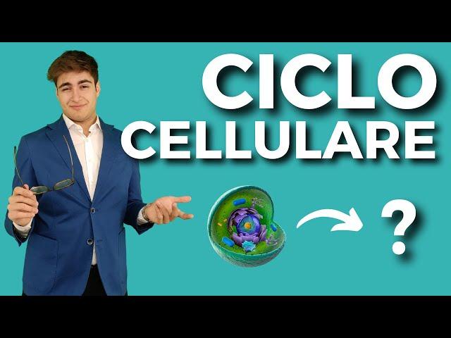 IL CICLO CELLULARE in poco più di 2 minuti