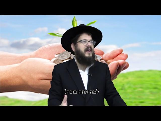 הדרך להגיע אל האושר - הרב שניאור אשכנזי