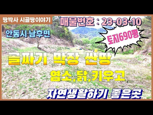 (23. 03. 10) 숲속에 파묻힌 땅~!! 딱 좋아!!  청정지역 골짜기 막장 숲세권 준자연인 토지.