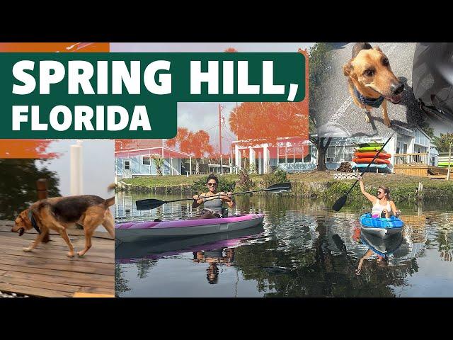 Trip to Spring Hill, Florida with your Dog | Pet friendly vacation idea