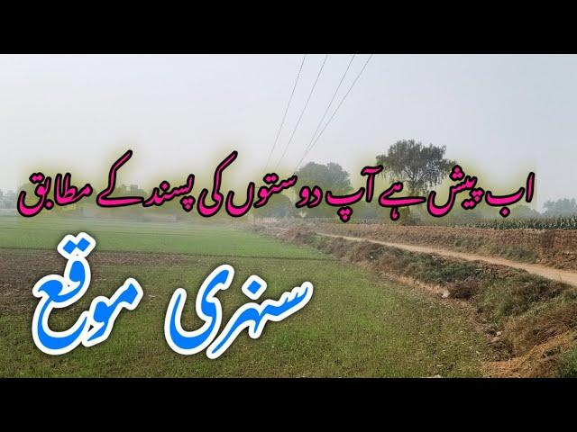 #farmland #viralvideo #house #cheap agricultural land for sale زرعی زمین برائے فروخت