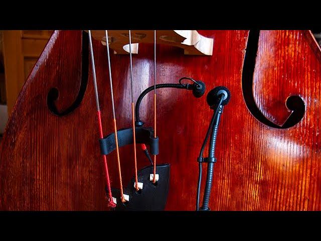 ATM350 vs DPA4099 Comparison | On the double bass | Audio-Technica Test