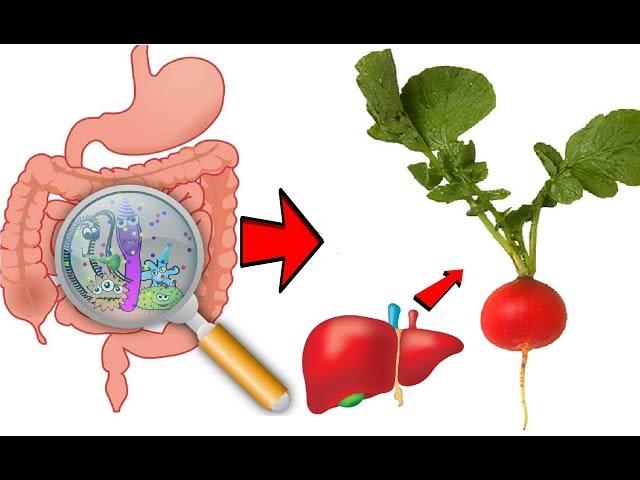 پاکسازی کبد و روده ها با این مواد غذایی