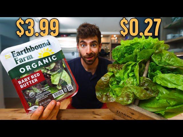 Why I'm Never Buying Lettuce Again...