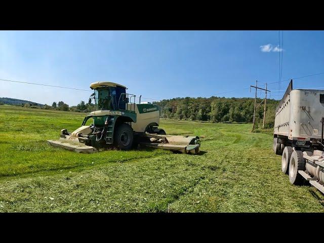 Mowing & Raking 4th cut