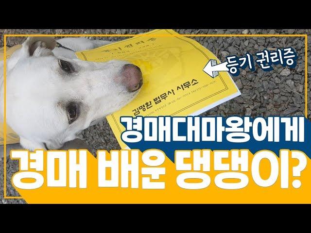 [임장영상]시원한 계곡물이 흐르는 별장 낙찰받았습니다. ^^