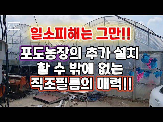 일소피해는 그만!! 포도농장의 추가 설치 할 수 밖에 없는 직조필름의 매력!!