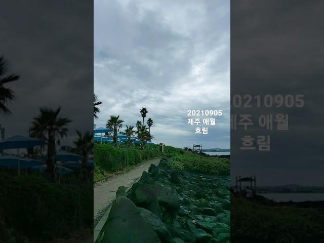 #20210905#제주#애월#하이엔드제주#바다뷰#흐림#주말나들이#shorts