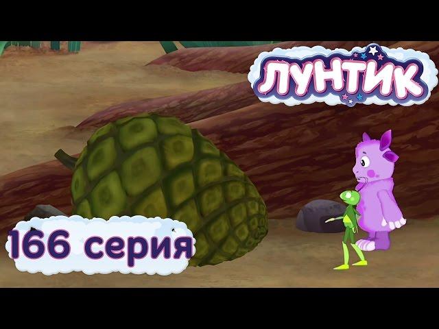 Лунтик и его друзья - 166 серия. Шишка