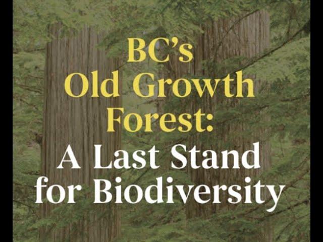 A Provincial & Regional Overview of BC’s Old Growth Forests with Dr. Rachel Holt Veridian Consulting