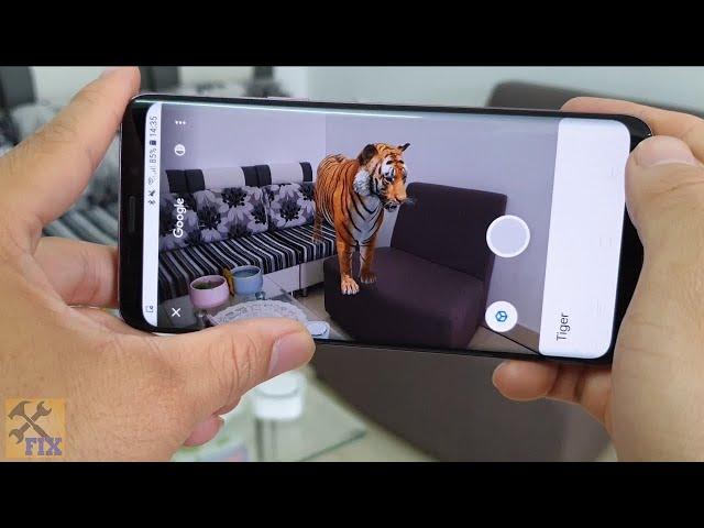 How to View Google 3D Animals in Your Mobile  - AR Feature