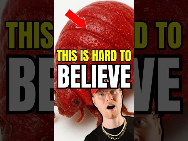 This CREATURE Was a Prophecy of Jesus‼️ #christian #bible #faith #shorts