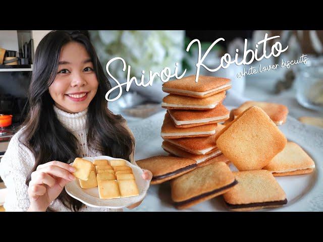 Shiroi Koibito - Japanese 'White Lover' Langue de Chat & White Chocolate Biscuit