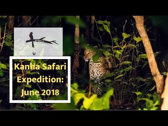 Kanha National Park Safari Experience: Wilderlust with Shashank Birla (June 2018)