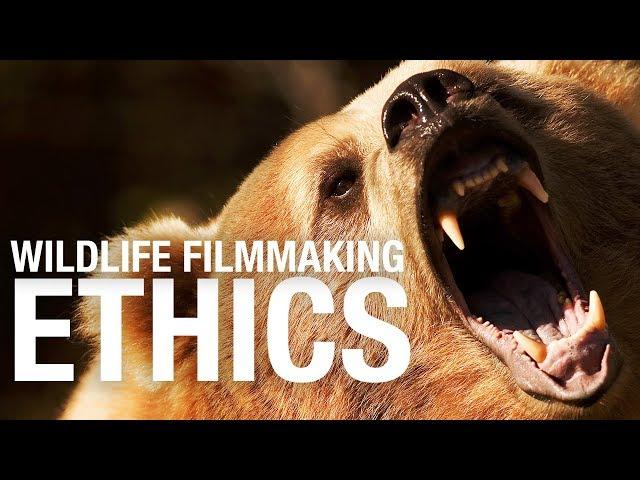 Wildlife filmmaking ETHICS - Stuff you should know