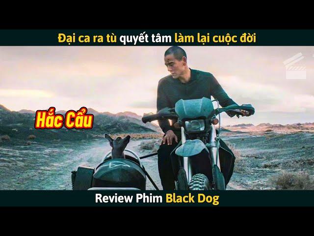 [Review Phim] Đại Ca Ra Tù Quyết Tâm Làm Lại Cuộc Đời