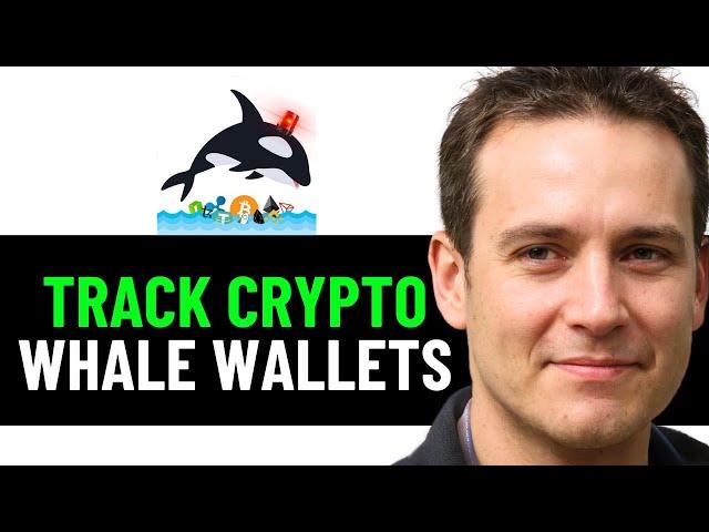 How To Track Crypto Whale Wallets | Find Crypto Whale Wallets 2024! (FULL GUIDE)