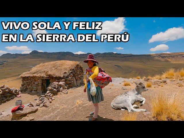 MUJER VIVE SOLA Y FELIZ en un Rincón de los Andes Peruanos